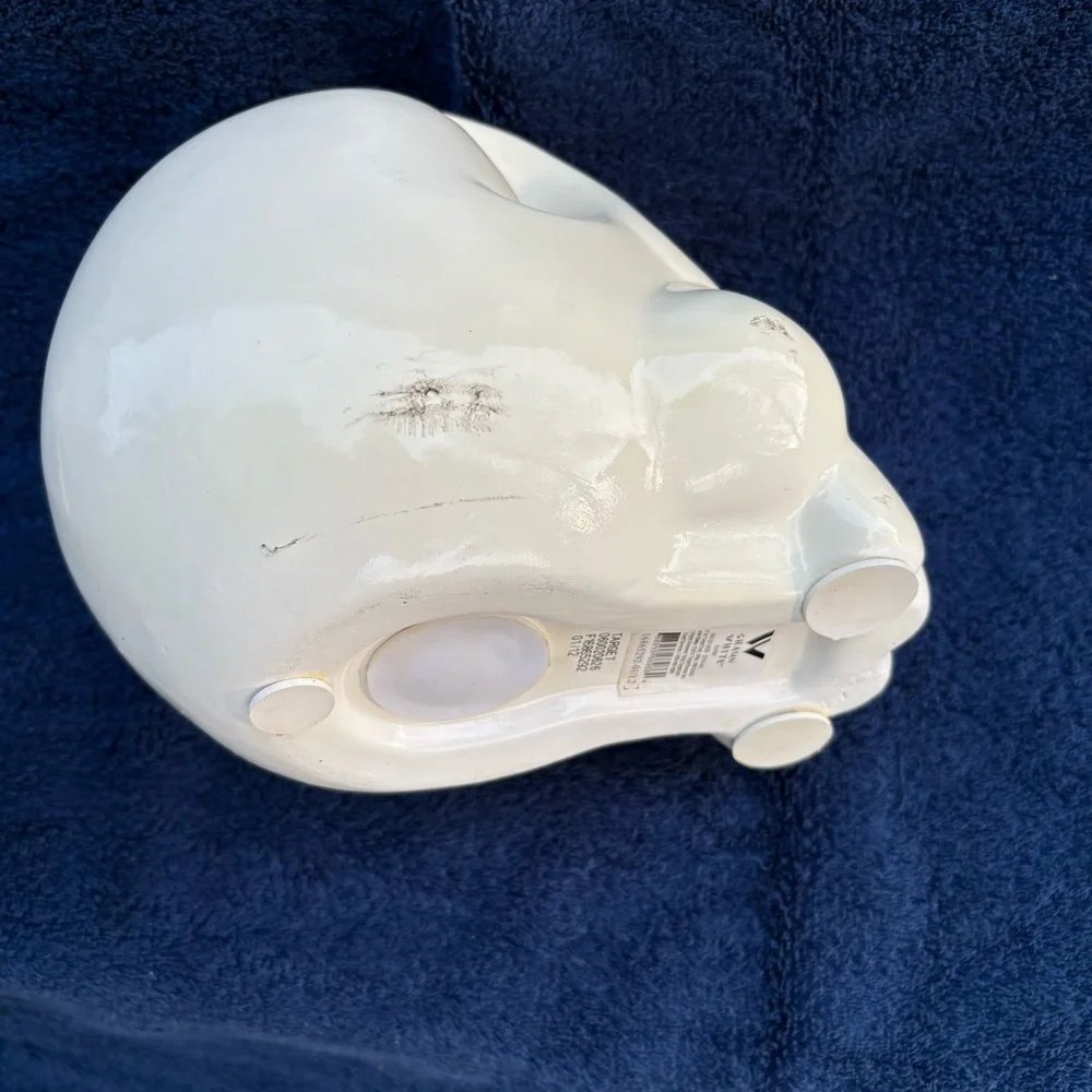Shaun White Ceramic Skull Coin Bank Target Exclusive Snowboarding Skateboarding